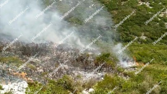 Himarë/ Vijon prej tre ditësh zjarri në kodrat e Palasës, zjarrfikëset po punojnë për shuarjen e tij
