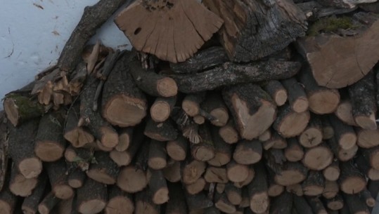 Rritet çmimi i druve të zjarrit në Kukës, shtrenjtohet me 1000 lekë më shumë për metër kub