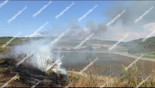 Shuhet pas 8 orësh zjarri në Rreth-Libofshë të Fierit, shkrumbohen 14 ha ullishta