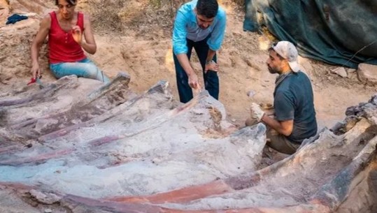 Portugali/Po gërmonte për themelet e shtëpisë, 27-vjeçari zbulon skeletin e dinozaurit më të madh në Evropë