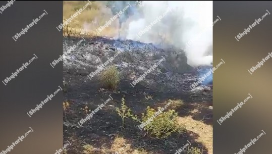 Fermeri ndez zjarr për të djegur ferrat, flakët i dalin jashtë kontrollit! Shkrumbohen dhjetëra rrënjë ullinj në Berat (VIDEO)