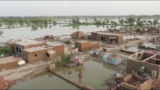 Gjendje katastrofe në Pakistan, 1/3 e vendit nën ujë! Mbi 1200 viktima, përmbytjet shkatërrojnë 888 ndërtesa shëndetësore