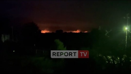 Zjarr i fuqishëm në Seman të Fierit, përfshihet nga flakët zona pyjore me pisha! Terreni i vështirë pengonte ndërhyrjen e zjarrfikësve