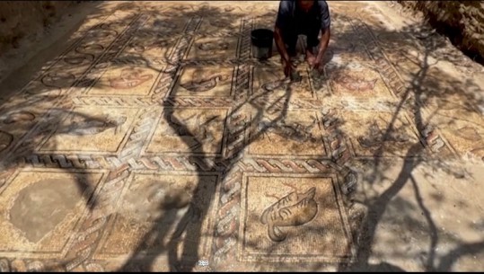 Një fermer në Gaza gërmon dyshemenë dhe gjen mozaikun bizantin! Ekspertët: Zbulimi  me vlera të jashtëzakonshme