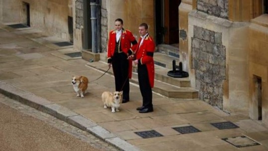 Dy qentë corgi të Mbretëreshës e presin në kishën e Shën Gjergjit, kujdestaria e tyre do i kalohet Princit Andrew dhe ish-bashkëshortes