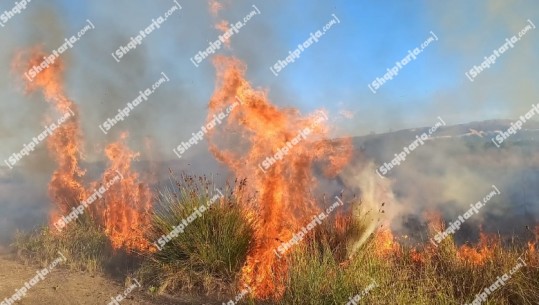 Zjarr në Zvërnec të Vlorës, zjarrfikësja mbërrin me 10 ton ujë
