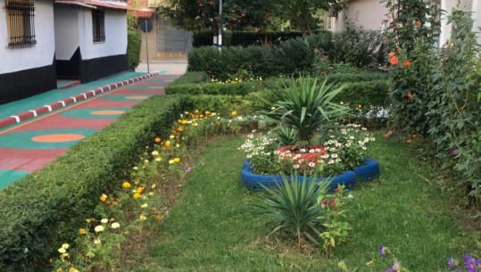 Korçari vullnetar kthen lagjen në mozaik ngjyrash, pikturon rrugët dhe mbjell lule: Çdo ditë pastrojmë, njerëzit të mos hedhin as mbeturinat, as bishtat e cigareve