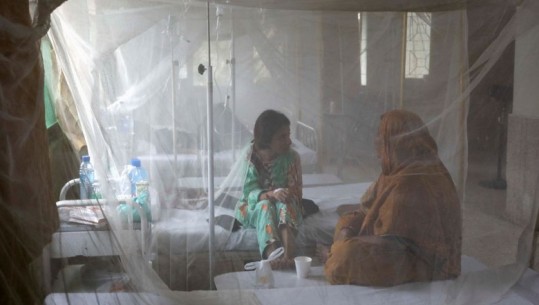 Pas përmbytjeve shkatërruese, Pakistani përballet me përhapjen e malaries 
