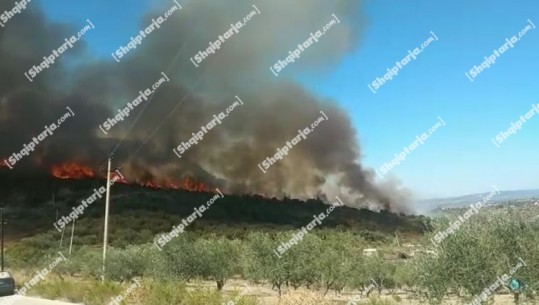 Fier/ Zjarr në kodrën e Margëllicit, terreni vështirëson punën e zjarrfikësve (FOTO) 