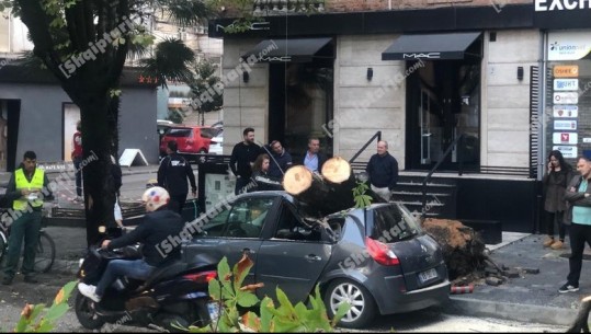FOTO/ Incident në mes të Tiranës, bie pema mbi makinë! Mjeti bëhet copash