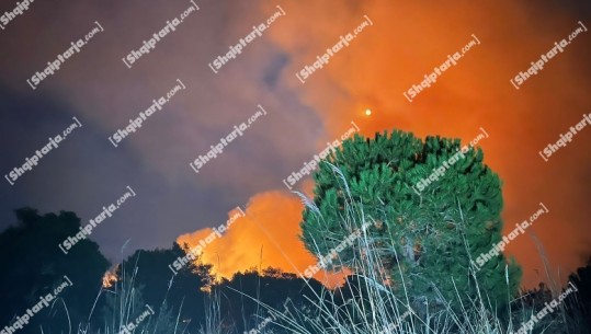 Zjarr në Vlorë, përfshihet nga flakët sipërfaqja me pisha në Hidrovor