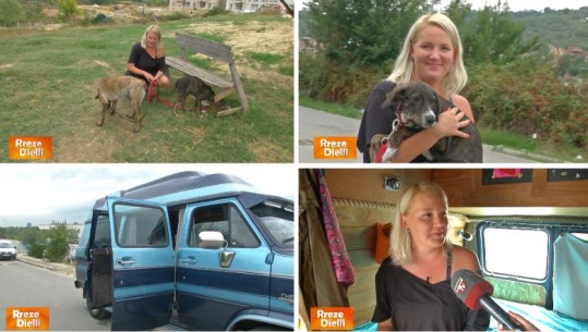 Nga Finlanda në Shqipëri, e reja udhëton botën e vetme për të shpëtuar kafshët e pastreha: ’E lumtur që po realizoj ëndrrën time’ 