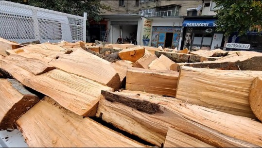 Rritet me 50% çmimi i  druve të zjarrit në Shkodër, Bashkia: Kadastra nuk na jep pronësinë e pyjeve