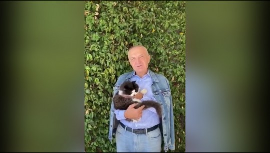 'Me super Sashën', Meta shijon fundjavën krah maces së tij (VIDEO)
