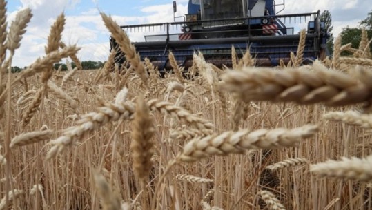 Eksportet e grurit të Ukrainës, ministri ukrainas: Do të vazhdojnë edhe pas 22 nëntorit, dita ku marrëveshja skadon