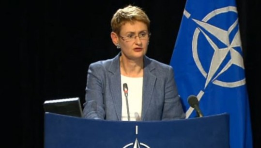 NATO i bën thirrje Rusisë që të rinovojë urgjentisht marrëveshjen e grurit me Ukrainën