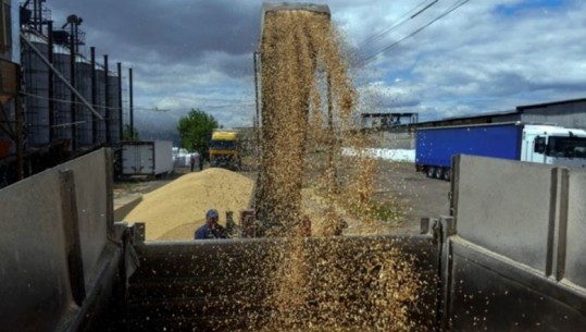 Marrëveshja e grurit me Ukrainën, Moska: Së shpejti kontakte me OKB-në dhe Turqinë