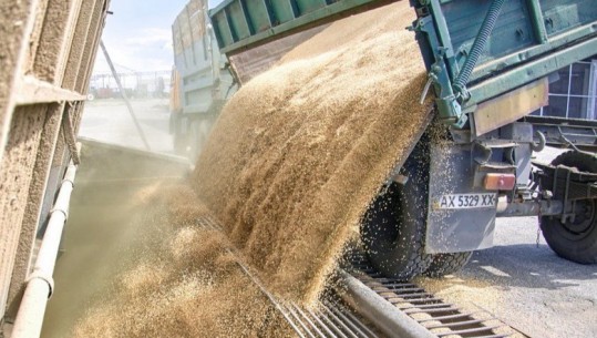 Turqia: Jemi të angazhuar në bisedime me Moskën dhe Kievin për marrëveshjen e grurit