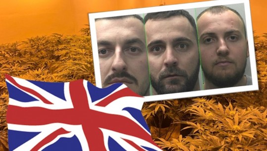 U dënuan në Britaninë e Madhe për drogë, ja pamjet brenda ‘shtëpisë së barit’ së 3 shqiptarëve me vlerë 730 mijë paund