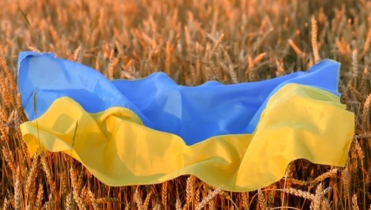 Ukraina mirënjohëse ndaj Turqisë/OKB-së për marrëveshjen e rikthimit të Rusisë për grurin
