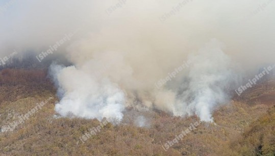 Tropojë/ Ende aktiv zjarri në pyllin e Gështenjave dhe Parkun e Dragobisë! Aktivizohet një tjetër vatër zjarri gjatë natës në Bujan