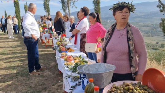 ‘Festa e ullirit’, panairi i prodhimeve vendase në Roskovec! Fermerët: Kostoja e prodhimit e lartë, mungon tregu i vajit
