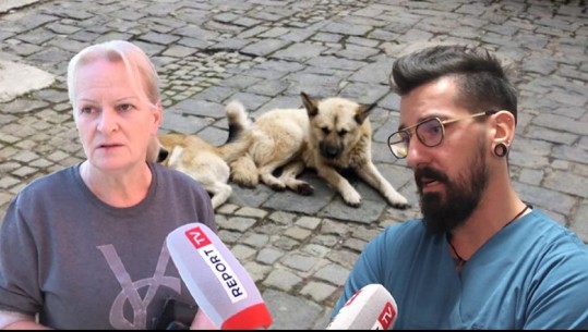Kush po i helmon qentë te Liqeni Artificial në Tiranë? Veterineri: Helmi u hodh në ushqim! Vullnetarja: Dorë e individit jo e shtetit