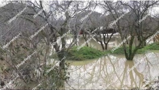 Moti i keq, lumi Ishëm del nga shtrati gjatë natës, 10 banesa të izoluara nga uji në Fushë Krujë (VIDEO)