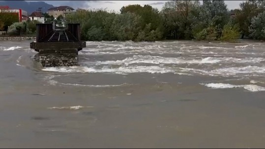 Deputetja e PD në zonat e përmbytura në Shkodër: Qeveria t’i thërrasë mendjes dhe t’i lërë udhëtimet, shumë familje janë rrethuar nga uji