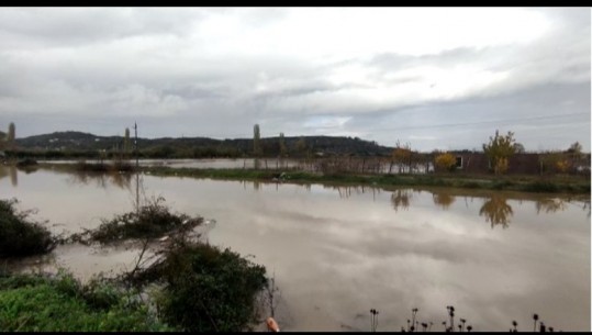 VIDEO/ Përmbytjet në Shkodër, zona e Kuçit dhe Gurit të Zi të mbuluara nga uji