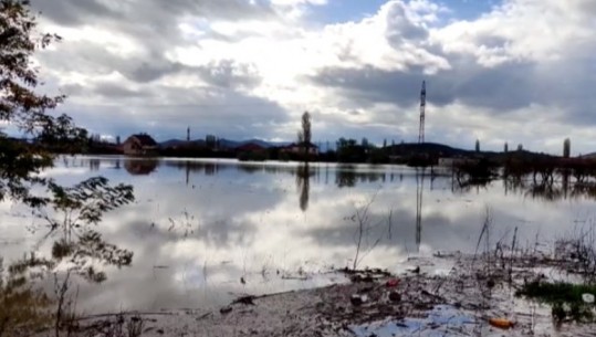 Përmirësohet situata nga përmbytjet në Shkodër! 1685 ha nën ujë, 26 familje të evakuuara