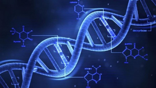 Si mund t’i ruajmë tek ADN të dhënat tona për 1000 vjet