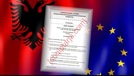 Ekskluzive/ Komiteti Shqipëri-PE mblidhet nesër, Report Tv zbardh draft-rezolutën: Kujdes financimin në media! Të hiqet 'roaming' për shqiptarët në vendet e BE