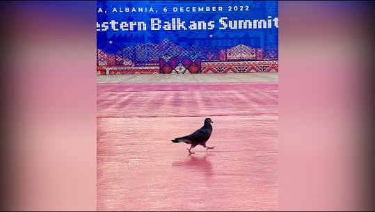 Në pritje të samitit të përbashkët BE-Ballkani Perëndimor, Rama nis ditën me foton e veçantë: Mirëmëngjes nga Shqipëria Europiane