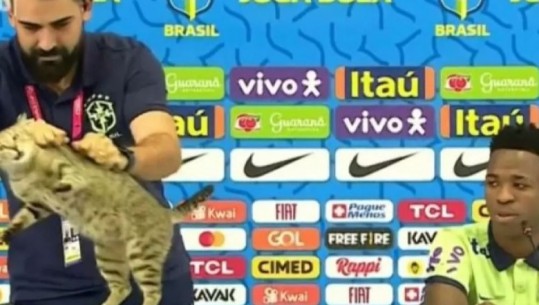 Katar 2022/ Macja 'ndërpreu' konferencën për shtyp, Vinicius shpërthen në të qeshura (VIDEO)