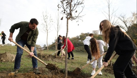 Mbillen 360 pemë në Liqenin e Prushit, Veliaj: Do e transformojmë në park lokal