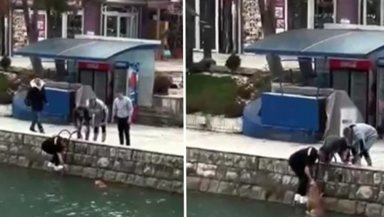 VIDEO/ Gjest për t'u vlerësuar, futbollistët e klubit shqiptar nxjerrin nga uji qenin që kishte mbetur në lumë