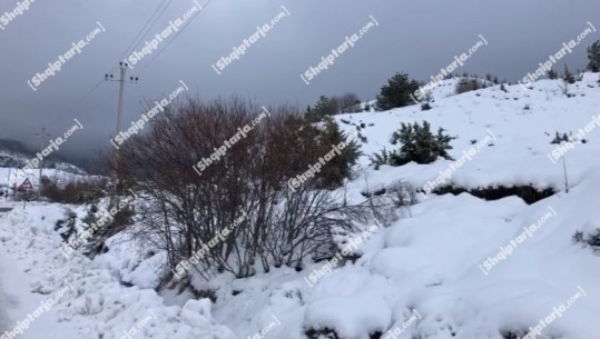 VIDEO/ Bie borë në Malësinë e Krujës, trashësia 7 cm! Qafshtama ‘vishet me të bardha’