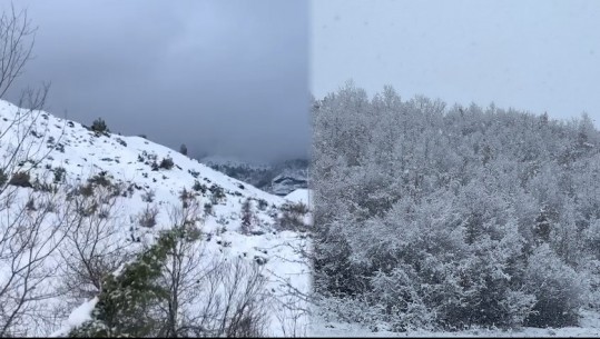 Moti i keq/ Tërhiqet uji në Lezhë, 220 ha tokë të përmbytura në gjithë qarkun! Nis bora në Malësinë e Krujës, Qafshtama 'vishet me të bardha'