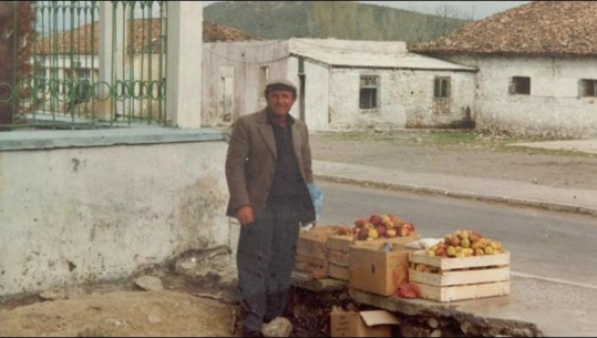 Si u shkarkua nga KPK gjyqtari i Shkodrës nuk justifikonte 300 mijë lekë të fituara nga babai duke shitur mollë dhe qepë