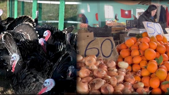 ‘Fluturojnë’ çmimet për gjelin e detit në Fier, ulet fuqia blerëse! Qytetarët: Rritja abuzive! Fermerët: Kemi kosto për bazën ushqimore