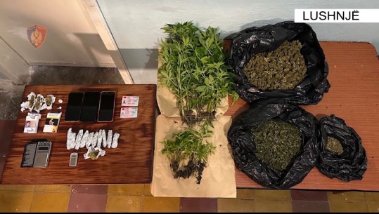 Lushnjë/ Shpërndanin kanabis dhe kokainë në doza, arrestohen 3 persona! Sekuestrohen 71 fidanë narkotik e rreth 1 kilogram drogë (EMRAT)