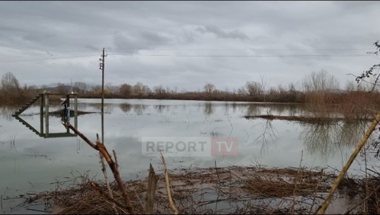 Moti i keq në Shkodër/ Rreth 1 mijë hektarë tokë nën ujë, disa fshatra pa energji elektrike