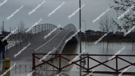 VIDEO/ Reshjet e dendura të shiut në Lezhë, lumi Drin pranë pikës kritike