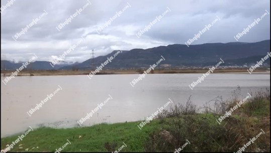 Reshjet e shiut në Lezhë, 230 hektarë tokë nën ujë, përmirësohet situata gjatë orëve të fundit