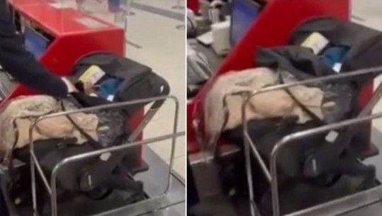 Arrestohet një çift në aeroportin e Izraelit,  braktisën foshnjën, nuk kishin para për t’i blerë biletën
