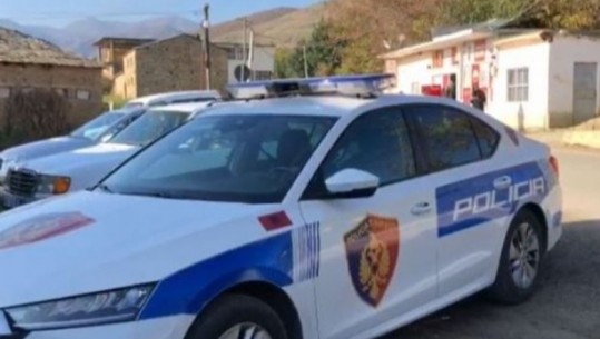 Fier/ Përplasi një 63-vjeçar në Divjakë, nën hetim drejtuesi i mjetit