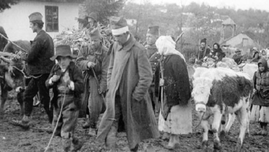 ‘Fëmijët shqiptarë vrapuan pas kolonave të ushtarëve serbë, duke kënduar: S’jemi serbë, as bullgarë, jemi trima shqiptarë…’/ Libri i ri i studiuesit Bashkim Trenova