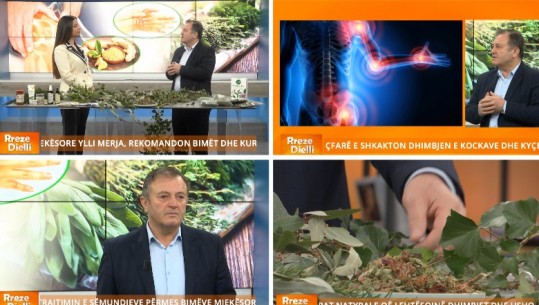 Sëmundjet e kockave, specialisti Ylli Merja në Report Tv: Nga artriti tek osteoporoza, ja si t’i kuroni me bimë medicinale  