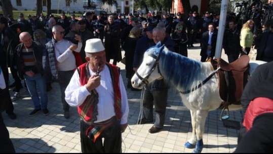 VIDEOLAJM/ 'Revolucioni' i Berishës, një 'kalorës' me kalë me 'balluke blu' në protestë: S'kisha lekë për furgon! Largohu Edi Rama! Tentojnë ta fusin në Kuvend